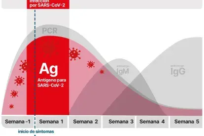 Gráfica diagnostico covid
