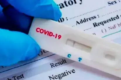 Test rápido de antígenos